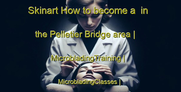 Skinart How to become a  in the Pelletier Bridge area | MicrobladingTraining | MicrobladingClasses | SkinartTraining-Canada